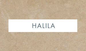 Halila Limestone